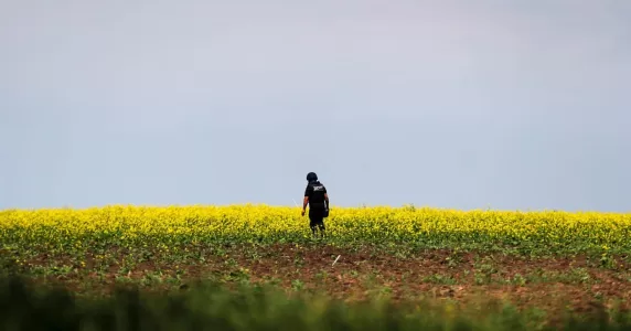 Росія завдала 14 ракетних ударів по півдню України, а український парламент ратифікував Стамбульську конвенцію. Головне за 20 червня