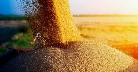 «Зернові угоди», обстріл Одеси та загроза розпаду Росії: огляд прокремлівських Telegram-каналів за 20-25 липня