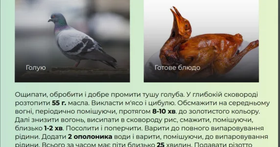 Суп з комах та рослини замість ліків: російські фейкороби намагаються залякати українців голодом