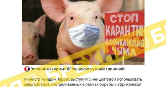 Брехня: Естонія хоче нагодувати ЗСУ зараженою чумною свининою